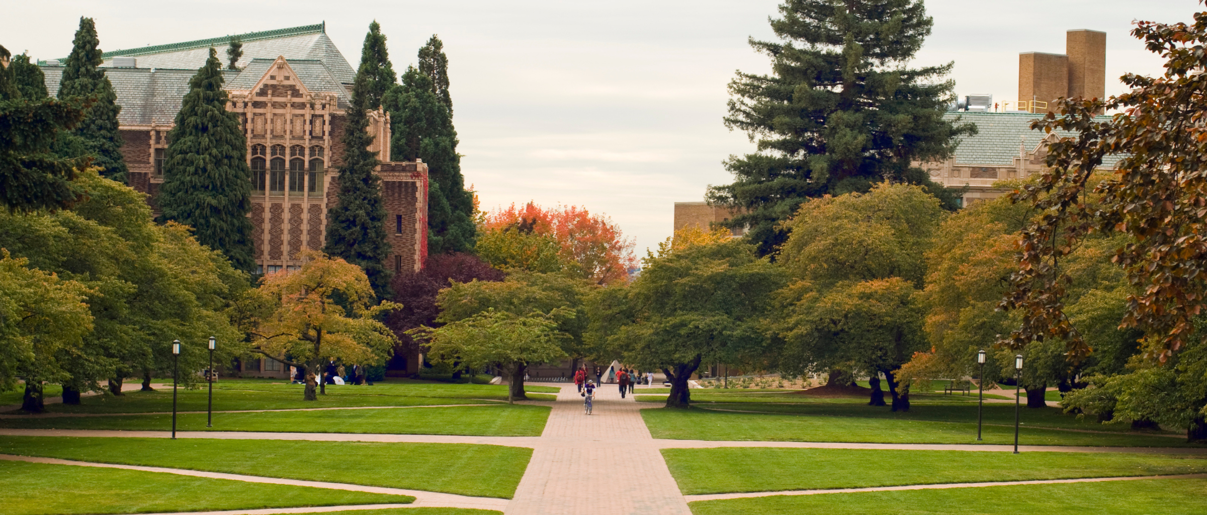 View of a walk way on a campus